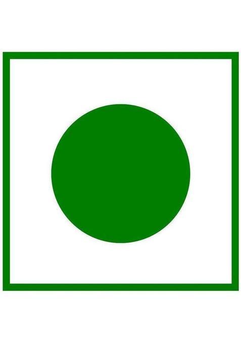 Organic Nature Sugar Coated Mint Fennel Seeds [Variyali Candy Mukhwas] Mint Mouth Freshener (300 G)