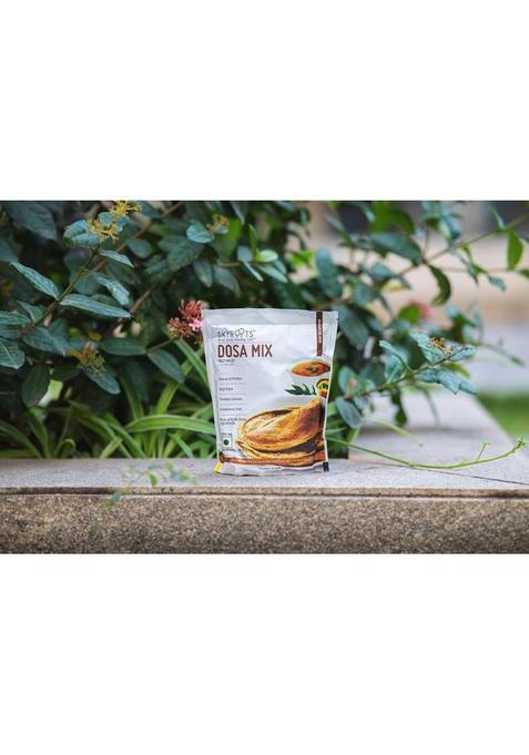 Skyroots Multi Millet Dosa | Ready To Mix | Pack Of 1 | 400Gm 400 G