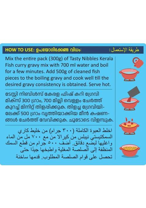 Tasty Nibbles Ready To Cook Kerala Fish Curry Gravy Mix 300G|No Added Preservatives 300 G