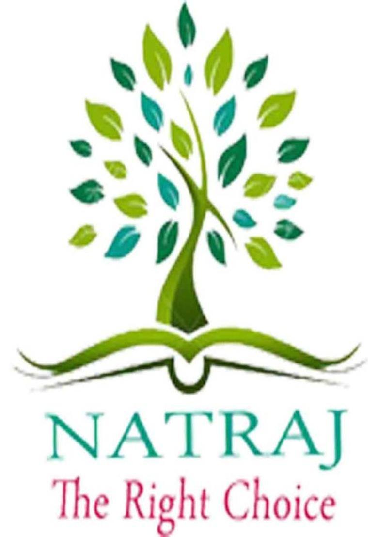 Natraj The Right Choice By Natraj The Right Choice Amritsari Spicy Masala Papad (250 G)