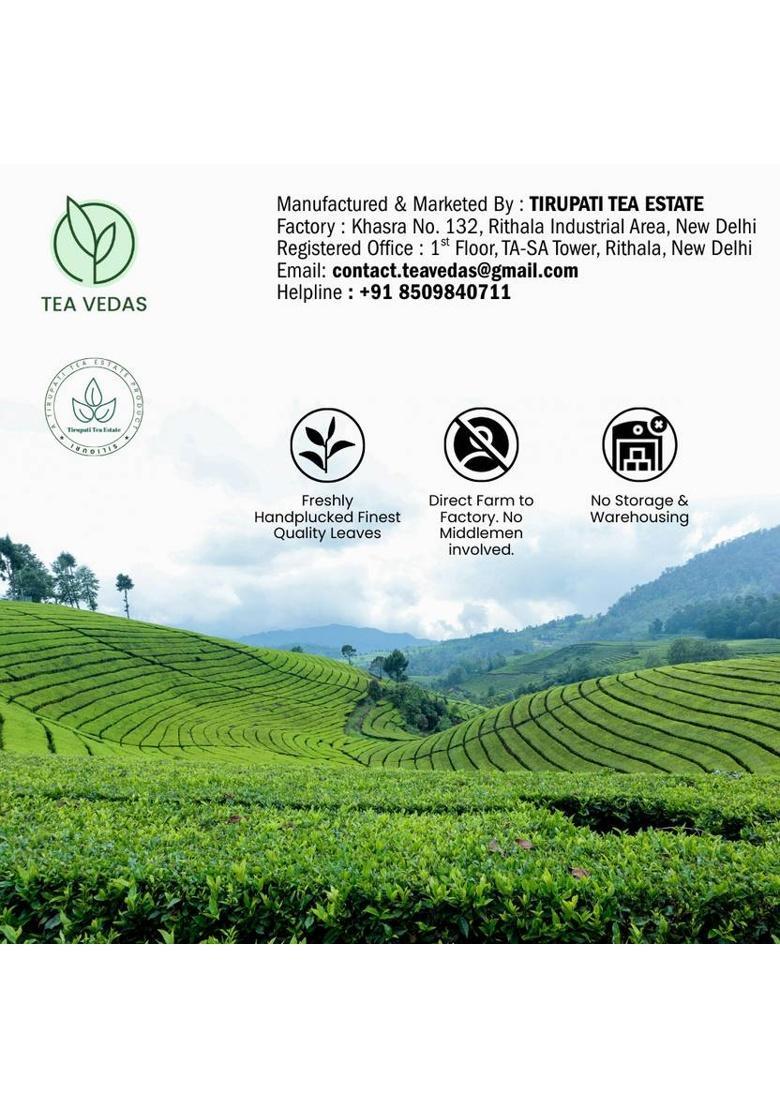 Teavedas Tea Vedas Ginger Tulsi Green Tea