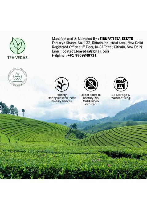Teavedas Tea Vedas Ginger Tulsi Green Tea