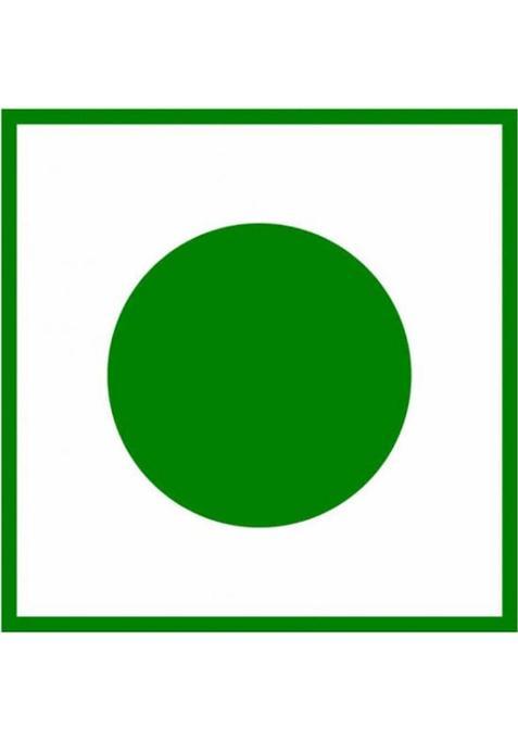 Green Spore Ginger Lemon Green Tea|Energizes Body & Mind|Cleanser & Detoxifier|Whole Leaf Ginger, Lemon Green Tea Tin (75 G)