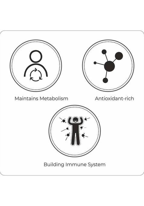 Typhoo Flavoured Masala Tea Spices Tea Bags Box (2 X 100 G)