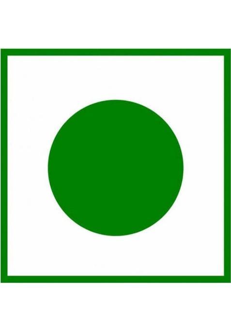 Green Spore Immunity Booster Tea Boost Your Immune System Amla, Cinnamon, Black Pepper, Ashwagandha Green Tea Pouch (100 G)