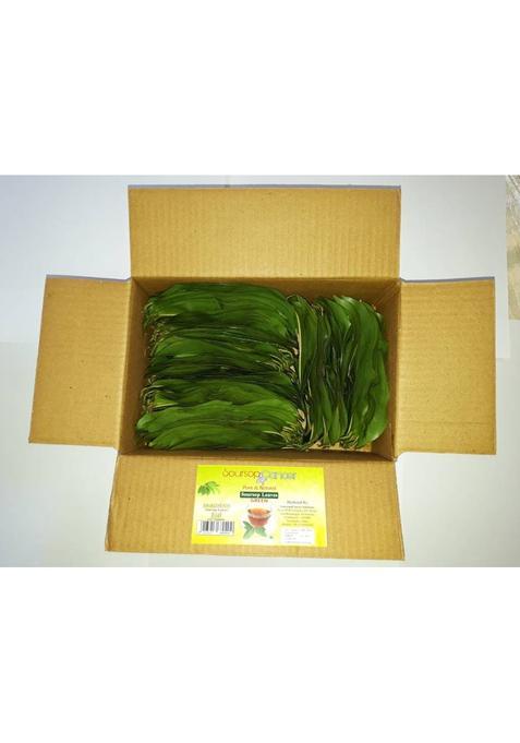 Soursop4Cancer Organic Soursop Leaves Unflavoured Herbal Tea Box&nbsp;&nbsp;(100 X 0.01 Bags)