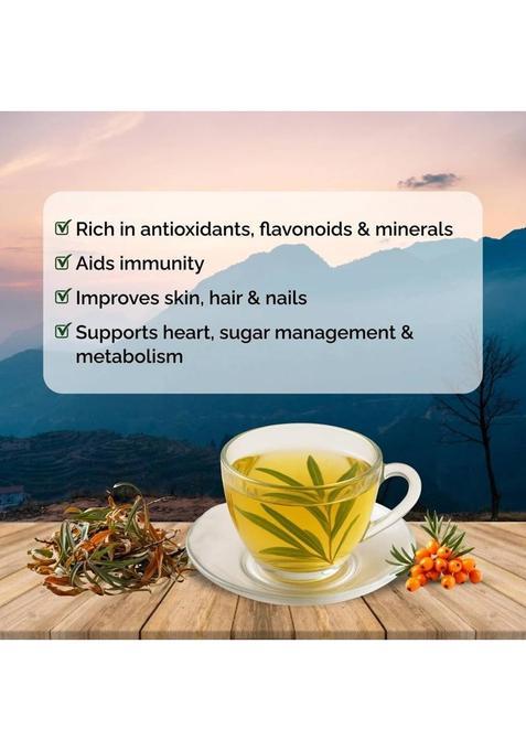 Biosash Seabuckthorn Dry Leaves | Herbal Caffeine Free Tea Leaves For Digestion & Skin Unflavoured Herbal Tea Pouch (100 G)