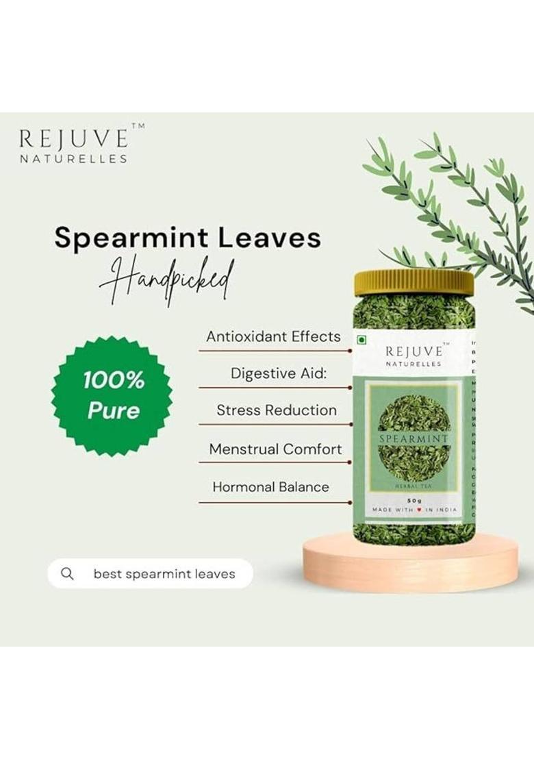 Rejuve Naturelles Premium Spearmint Tea 50 G | Freshly Packed Herbal Tea For Pcos,Pcod Mint Herbal Tea Plastic Bottle (50 G)