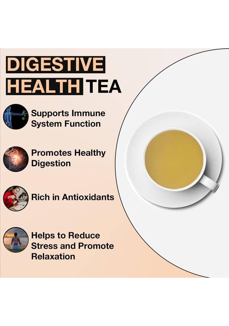 Tea Sense Digestive Health (Helps With Constipation, Gas, Bloating) Spices Herbal Tea Pouch (100 G)