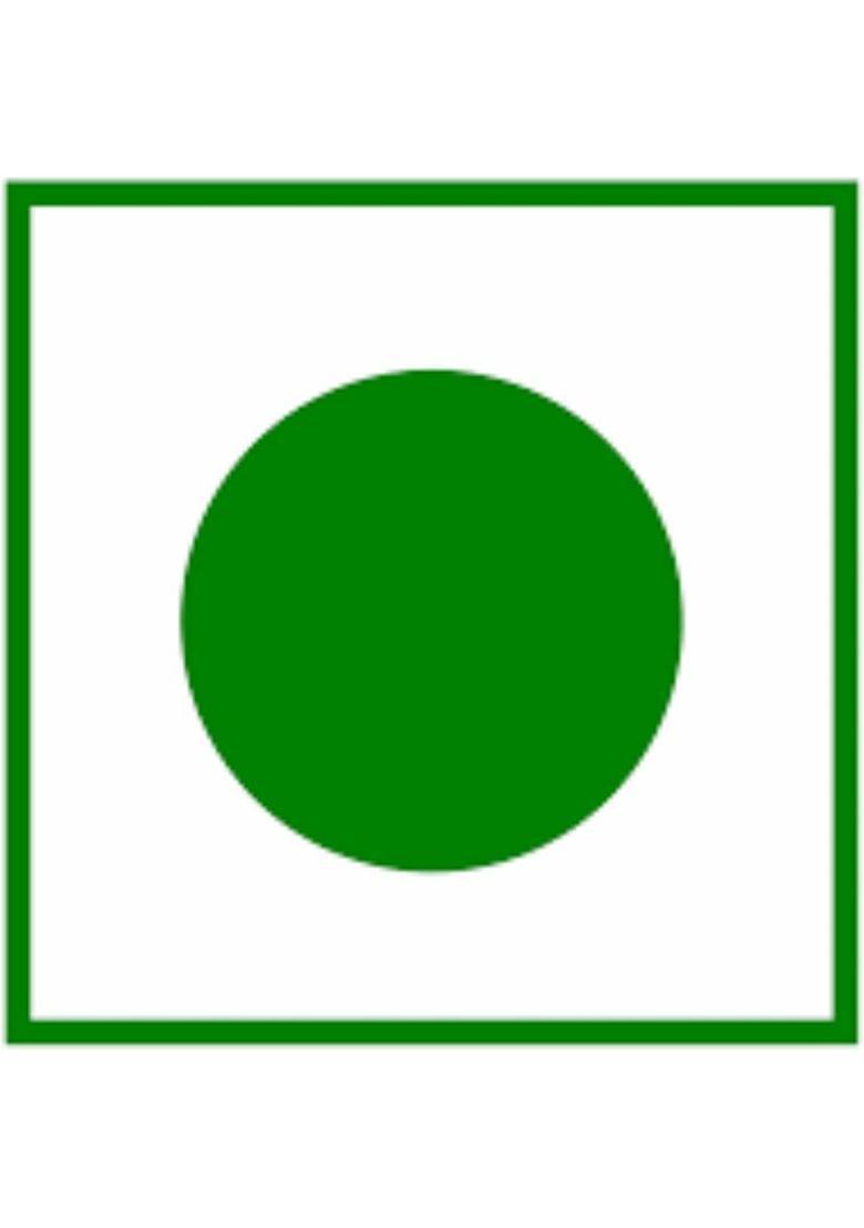 Fazeelat Creations Kashmiri Shahi Kahwa Green Tea Glass Bottle (100 G)