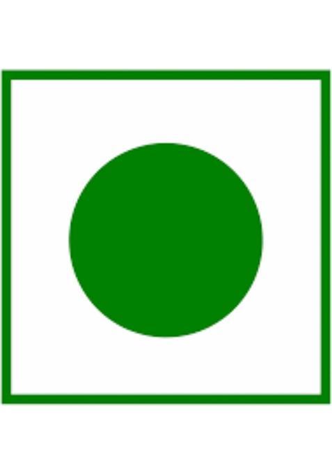 Fazeelat Creations Kashmiri Shahi Kahwa Green Tea Glass Bottle (100 G)