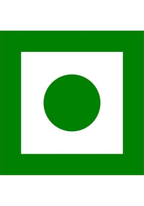 Nutrio Weight Loss Green Tea- Lemon Grass Tea- Detox Tea, Slimmig Tea Lemon Grass Herbal Tea Pouch (100 G)