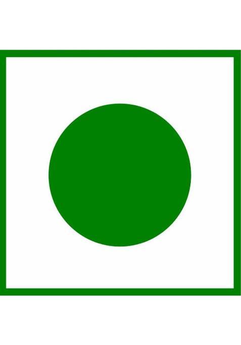 Hillpure Organic Premium Nettle Leaf Tea, Helps In Kidney Detox, Herbal Tea Plastic Bottle (50 G)