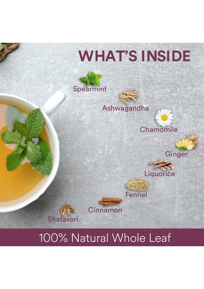 The Tea Ark Organic Spearmint Herbal Tea For Women,Hormonal Balance,Pcos Pcod &Unwanted Hair Mint Herbal Tea Pouch (100 G)