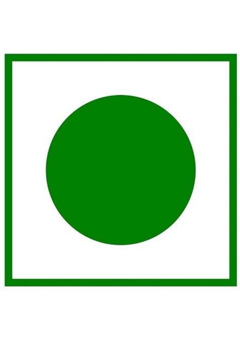 The Tea Ark Organic Spearmint Herbal Tea For Women,Hormonal Balance,Pcos Pcod &Unwanted Hair Mint Herbal Tea Pouch (100 G)