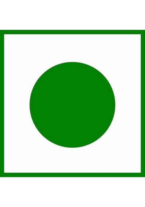 Apsara Tea Kawha Green Tea 36 Tea Bag Herbs Green Tea Bags Box (90 G)