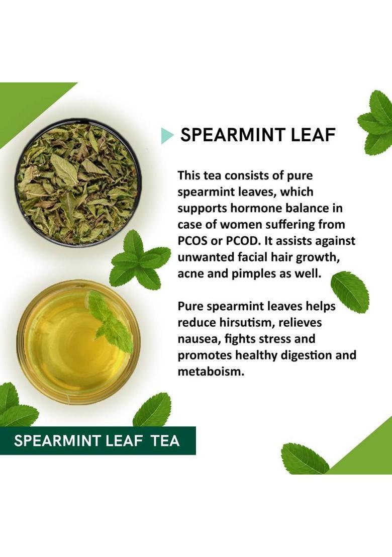 Teacurry Spearmint Tea