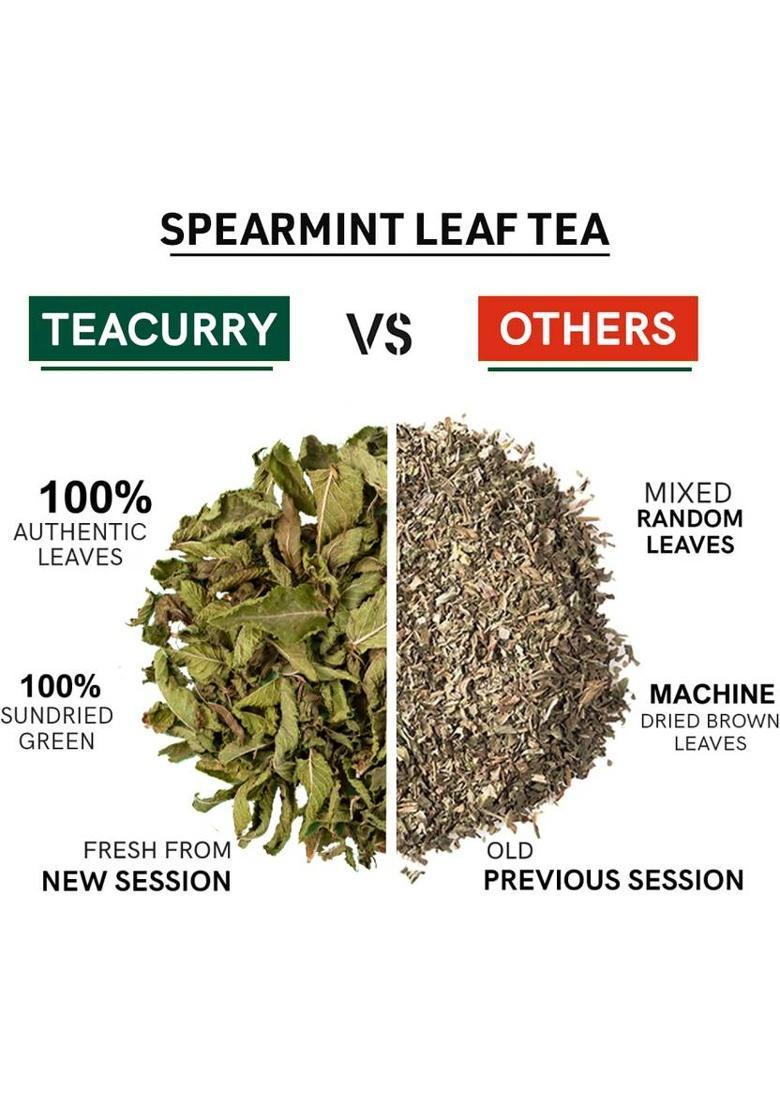 Teacurry Spearmint Tea