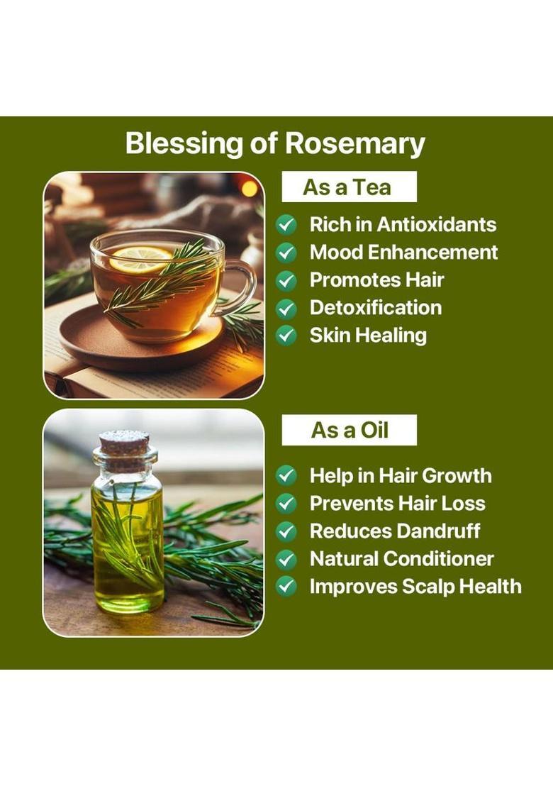 Yogafy Organic Rosemary Leaves (Herbal Tea) For Improving Memory |100 Gram | Rose Herbal Tea Plastic Bottle (100 G)