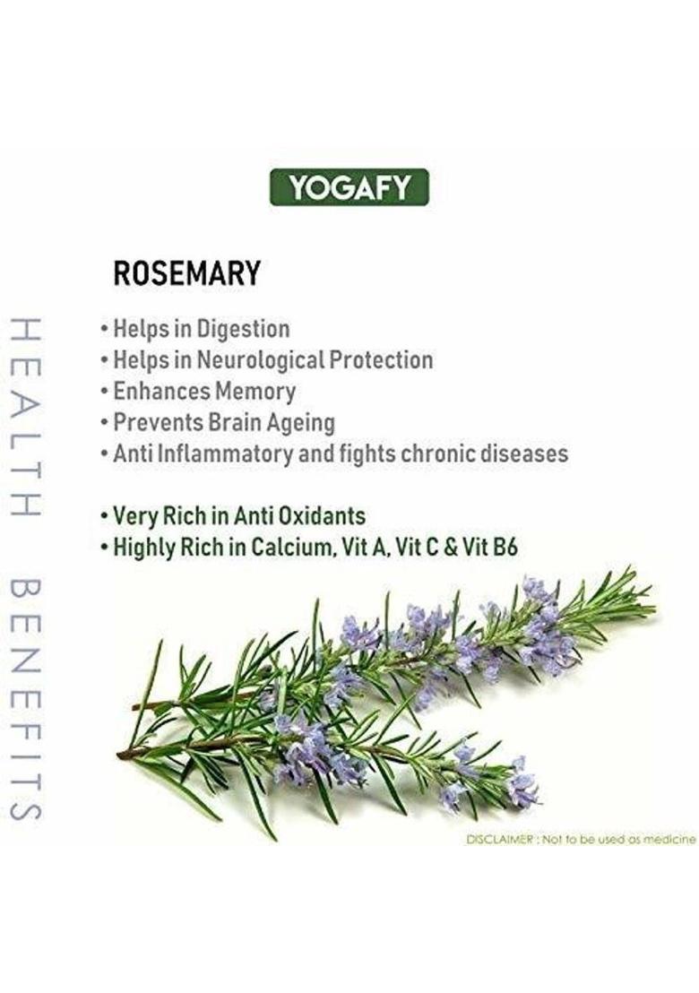 Yogafy Organic Rosemary Leaves (Herbal Tea) For Improving Memory |100 Gram | Rose Herbal Tea Plastic Bottle (100 G)