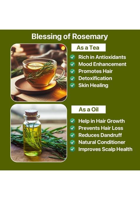 Yogafy Organic Rosemary Leaves (Herbal Tea) For Improving Memory |100 Gram | Rose Herbal Tea Plastic Bottle (100 G)