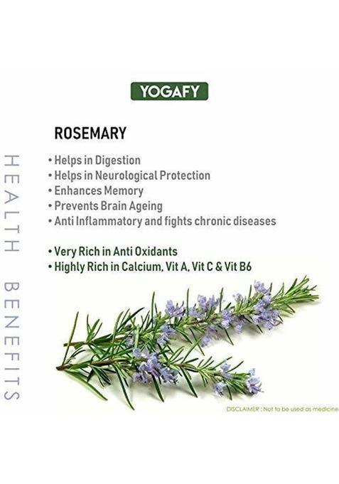 Yogafy Organic Rosemary Leaves (Herbal Tea) For Improving Memory |100 Gram | Rose Herbal Tea Plastic Bottle (100 G)