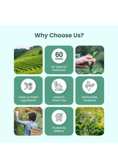 Apsara Tea Detoxifying Kahwa Green Tea Bags -100,Spiced Kashmiri Detoxifying Kahwa Green Tea Bags Box (250 G)