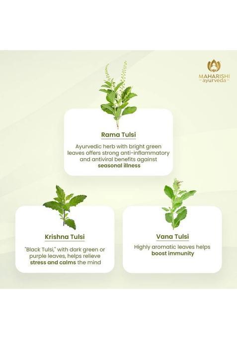 Maharishi Ayurveda Tulsi Green Tea Premium Tulsi Green Tea Bags Box (30 G)