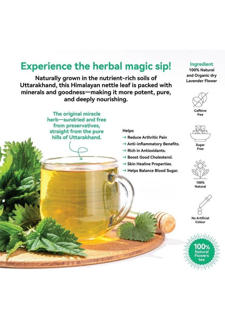Tea Troops Himalayan Nettle Tea | Herbal, Caffeine-Free | Detox & Immunity Boost Herbal Tea Pouch (50 G)