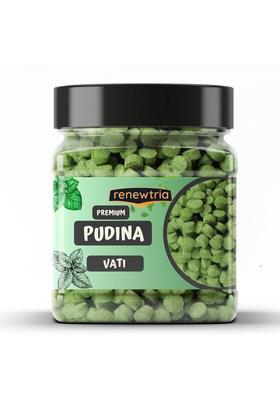 Renewtria Digestive Pudina Vati/Mint Tablet(For Gas,Acidity,Digestion & Flatulence) Sour Candy (300 G)