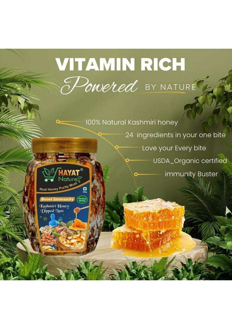 Hayat Nature Organic & Pure Kashmiri Honey With Roasted And Crunchy Dryfruits Nuts 100% Immunity Energy Booster (450 G) - Indya