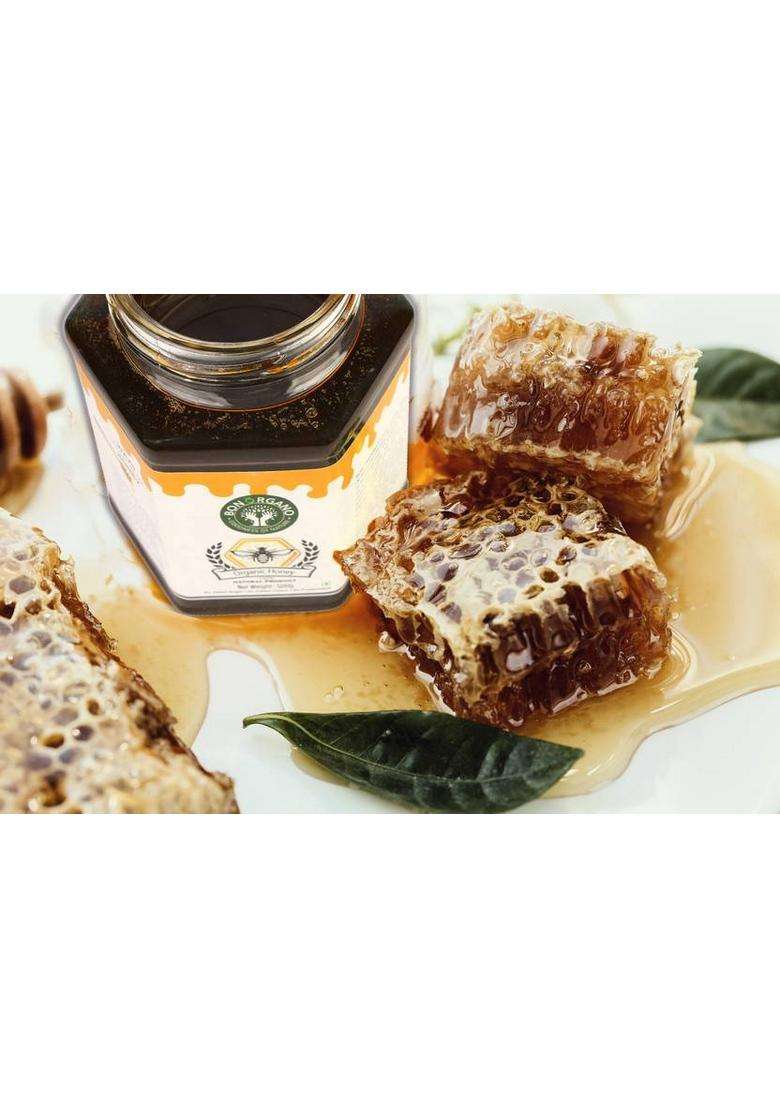 Bon Organo Unprocessed Pure Multiflora |Wild Forest|Multifloral Honey |Organic Raw Honey| Natural|No Preservatives| No Artificial Color|No Added Sugar 300Gms (300 G) - Indya