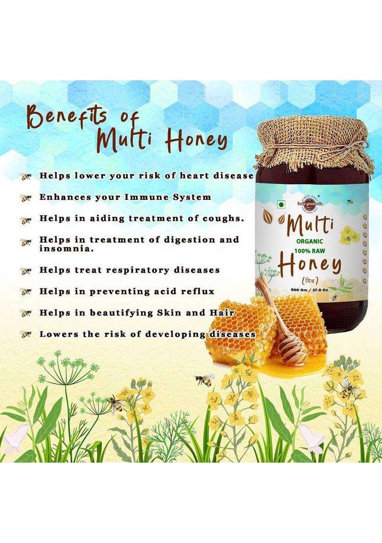 Indie-Gredients Organic India Wild Forest Honey (Multi Floral) (500 G) - Indya