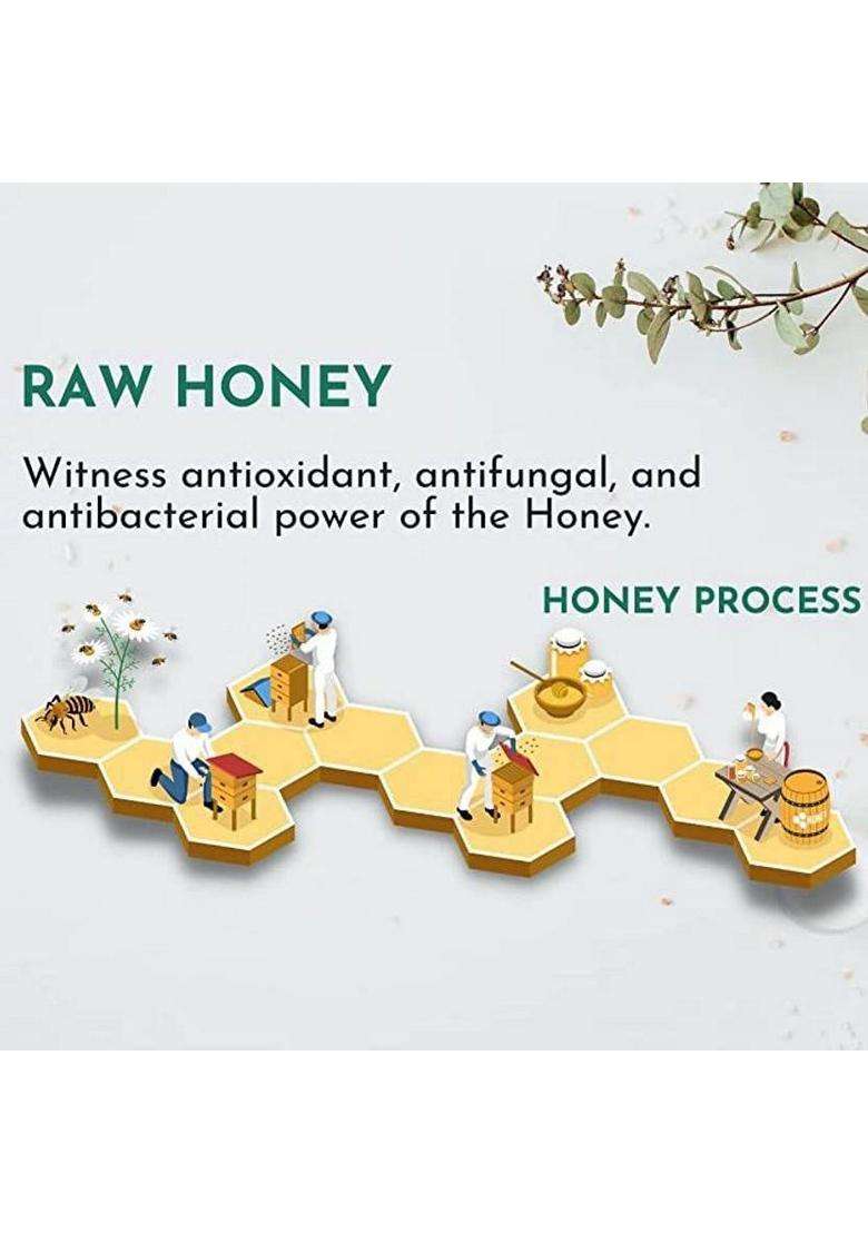 Healthy Roots Acacia Honey 500Gm Organic Raw Unprocessed Pure & Natural (Pack Of 2) (2 X 0.5 Kg) - Indya