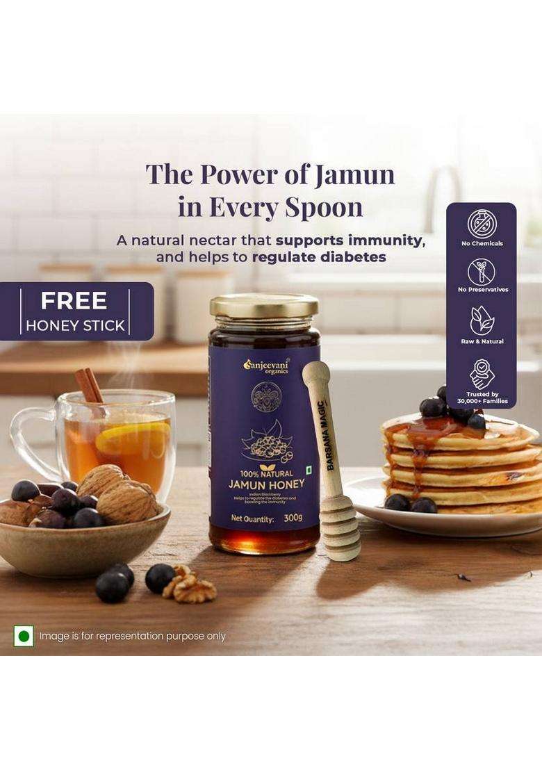 Sanjeevani Organics Natural Jamun Honey | No Additives Added Sugar Mono Flora (300 G) - Indya