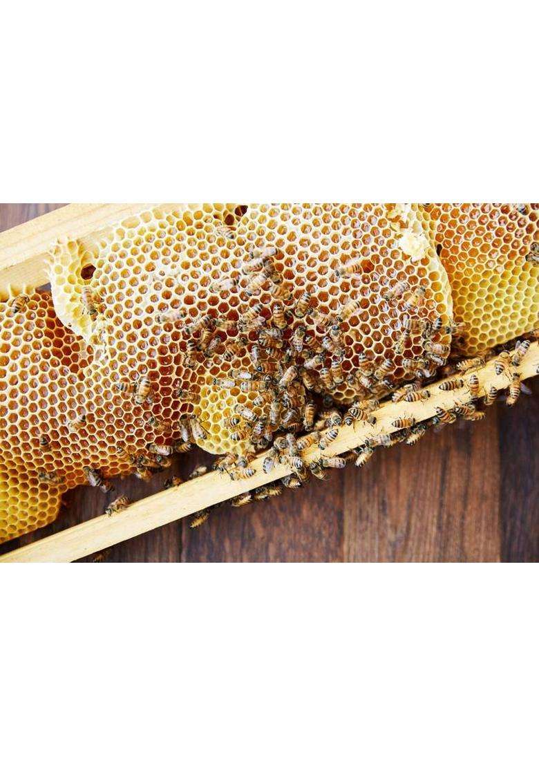 Vidyami Natural General Raw Honey 500 Gm (500 G) - Indya