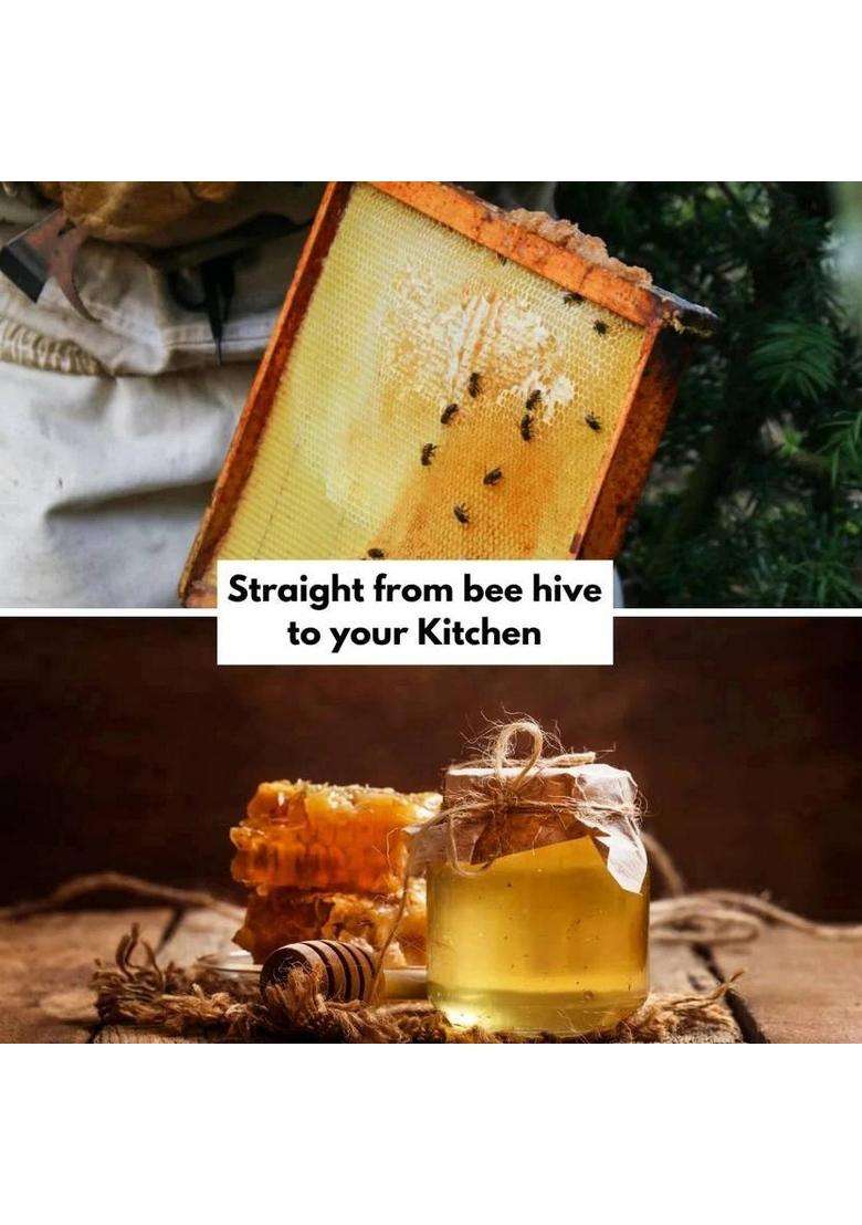 Healthy Roots Litchi Honey 500Gm Organic Raw Unprocessed (Pure & Natural) (500 G) - Indya