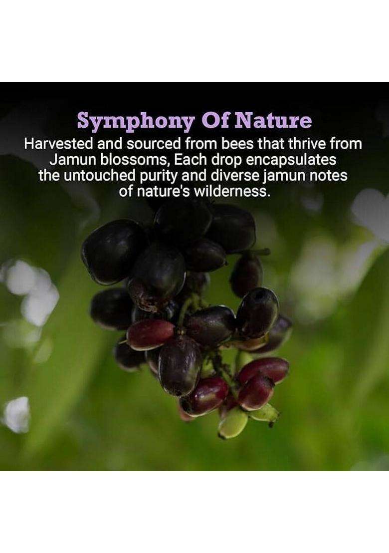 First Bud Organics Jamun Honey Pure Raw & Organic Rich Antioxidants Nutrients Ethically Sourced (500 G) - Indya