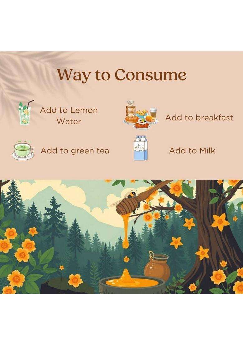 Nutricrate Wild Forest 100% Organic Honey, Unprocessed Raw From Jharkhand & Chhattisgarh (450 G) - Indya