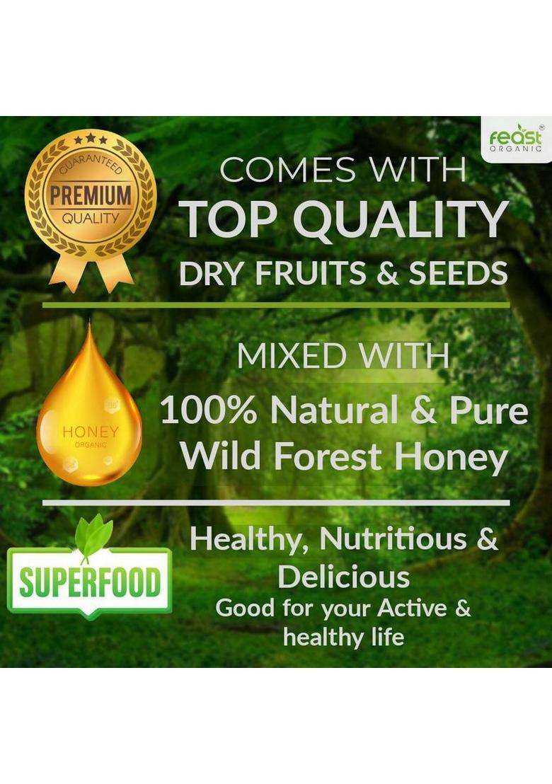 Feast Organic Wild Forest Honey With Dry Fruits & Mix Seeds | 100% Pure Natural Combo 1 Kg (2 X 500 G) - Indya
