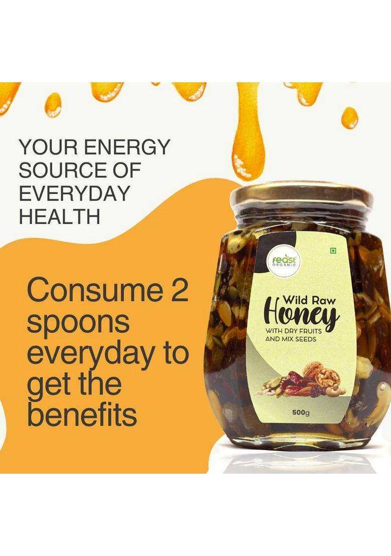 Feast Organic Wild Forest Honey With Dry Fruits & Mix Seeds | 100% Pure Natural Combo 1 Kg (2 X 500 G) - Indya