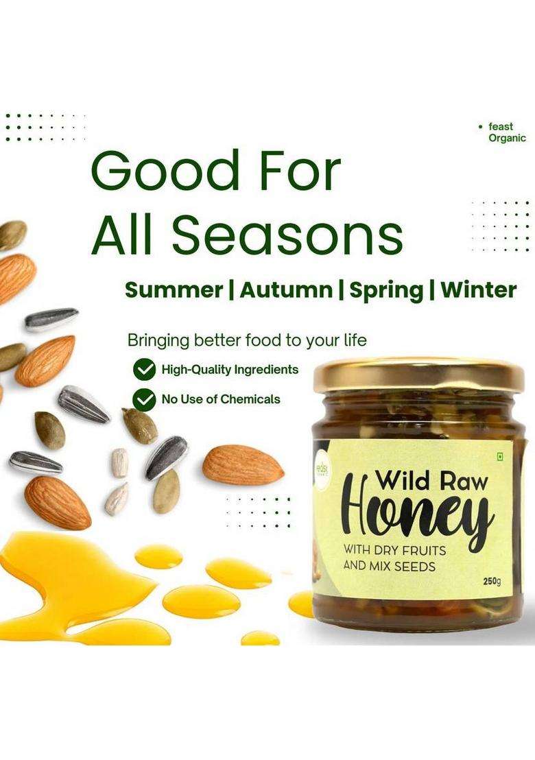 Feast Organic Wild Honey With Dry Fruits & Mix Seeds 250G (250 G) - Indya