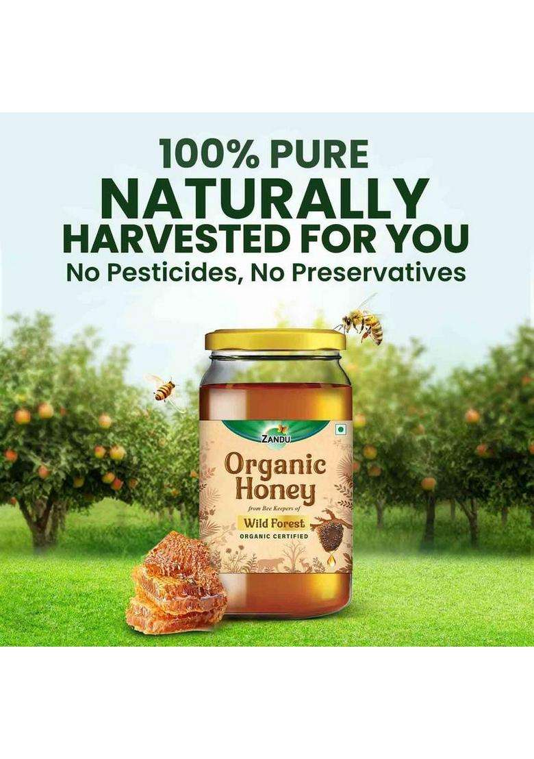 Zandu Organic Wild Forest Honey I Npop Certified (500 G) - Indya