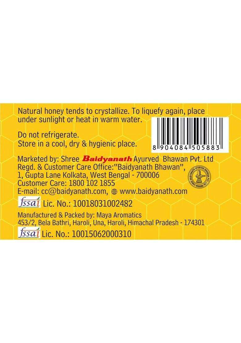 Baidyanath Honey Squeezy : 100% Pure World