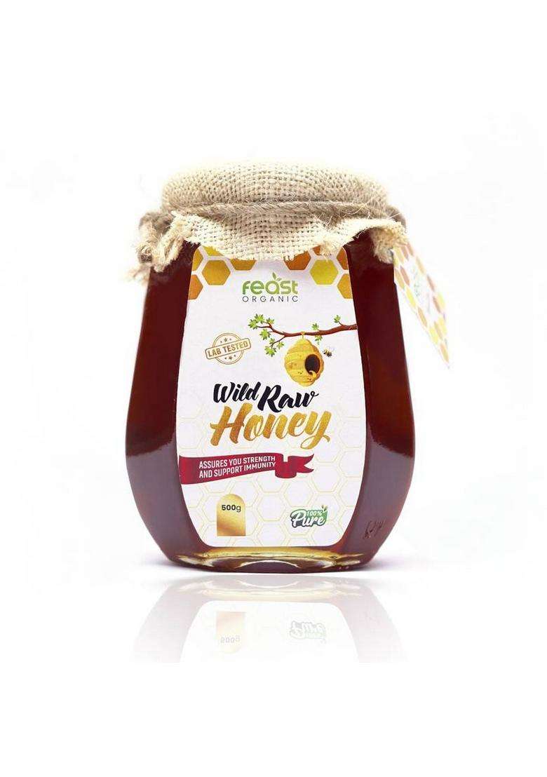 Feast Organic Wild Honey With Dry Fruits & Mix Seeds And Pure Raw Forest Combo Pack (2 X 500 G) - Indya