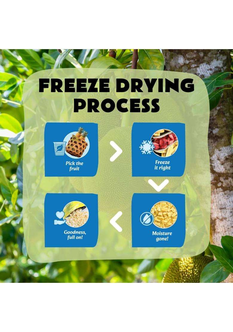 Snobite Freeze-Dried Jackfruit Pouch | 100% Natural No Added Sugar, Zero Preservatives Healthy, Tasty, Gluten Free Snack For Adults And Kids 50G - Indya