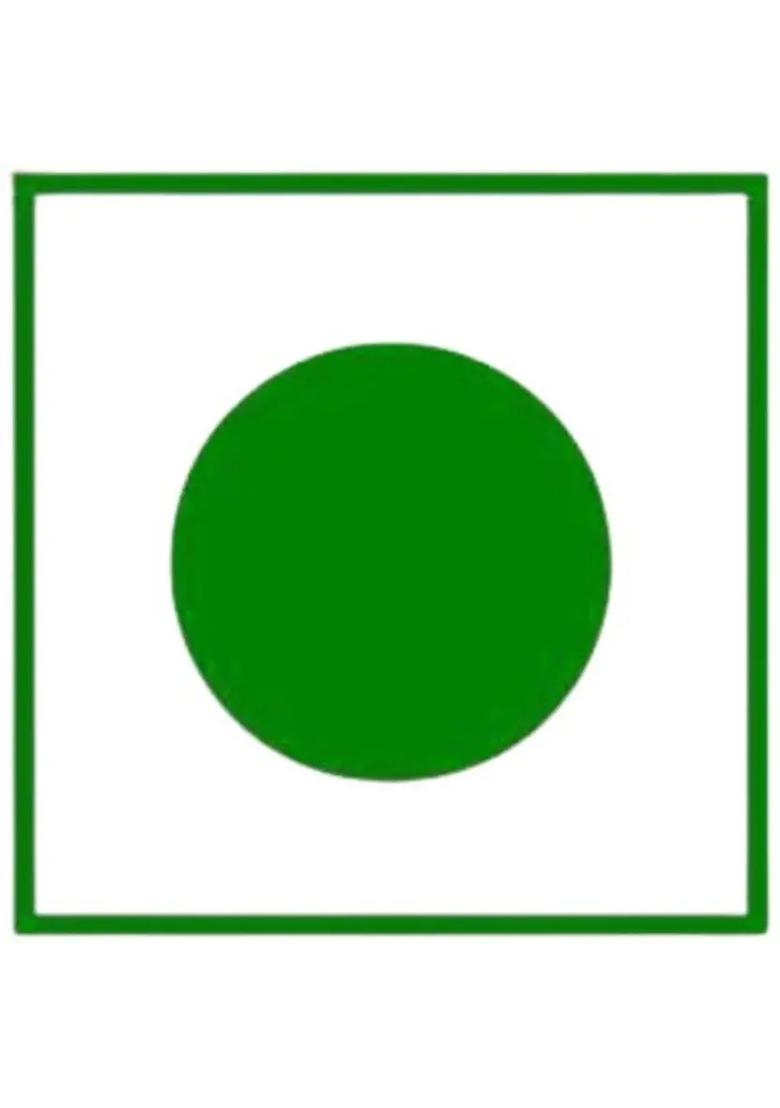 Organic Nature Sweet Dried Ginger Slices Mouth Freshners 250 Gram (Jar Pack) Candy (250 G) - Indya