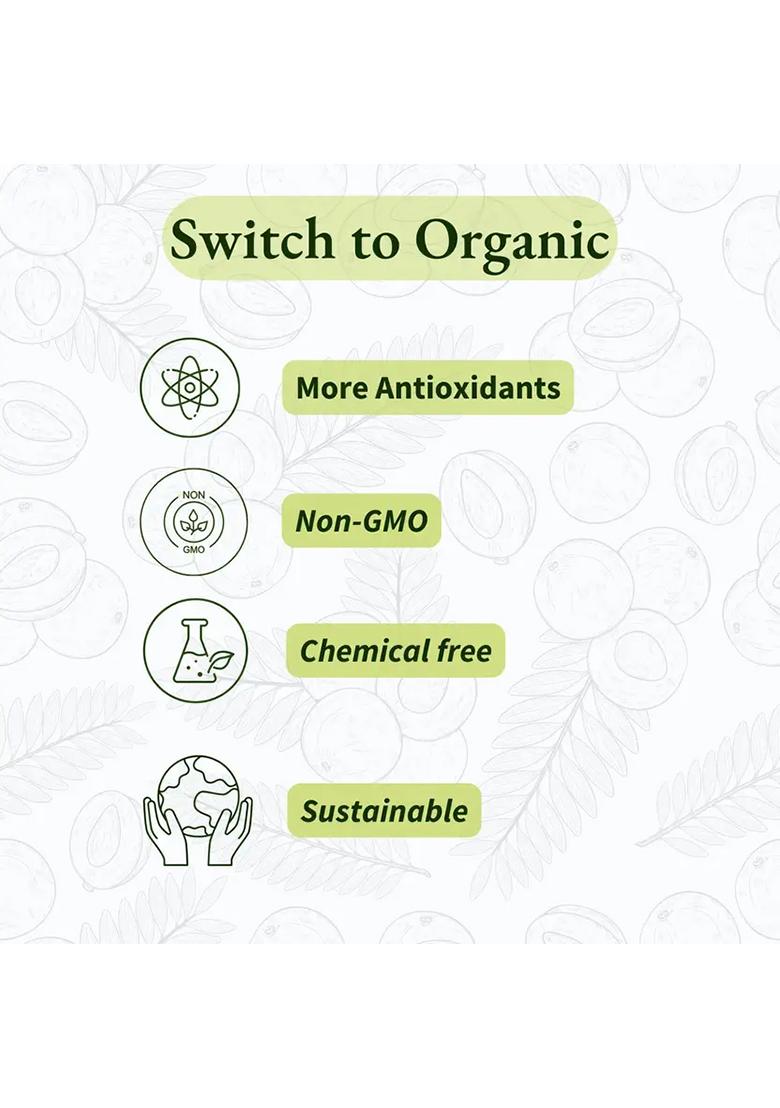 Earthen Story Certified Organic Sweet Amla Candy, Healthy Candy (2 X 200 G) - Indya