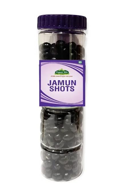 Organic Bites Kala Jamun Shots I Khatta Meetha Flavored Churan -200 Gm (Jar Pack) Khatti Mithi Digrestive Candy (200)