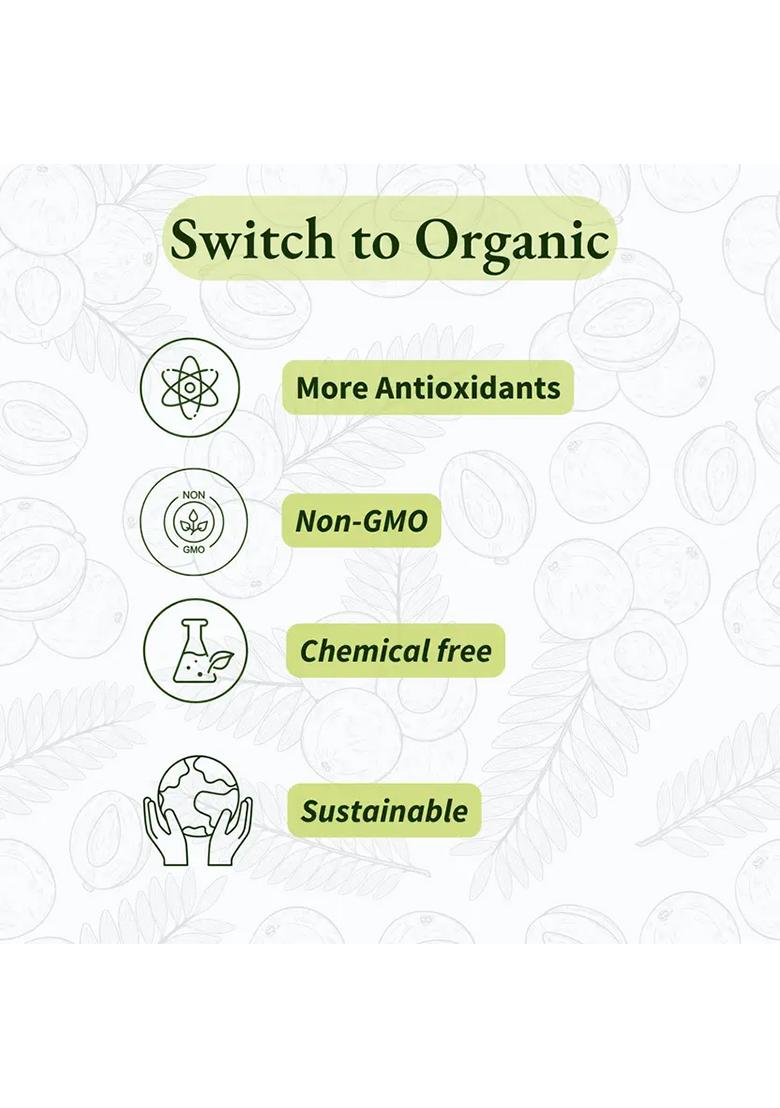 Earthen Story Sweet And Chatpata Amla Candy Combo | Healthy Snack (2 X 200 G) - Indya